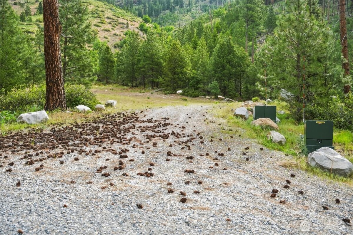 4 Lot Mossback Lane , Entiat, WA 98822