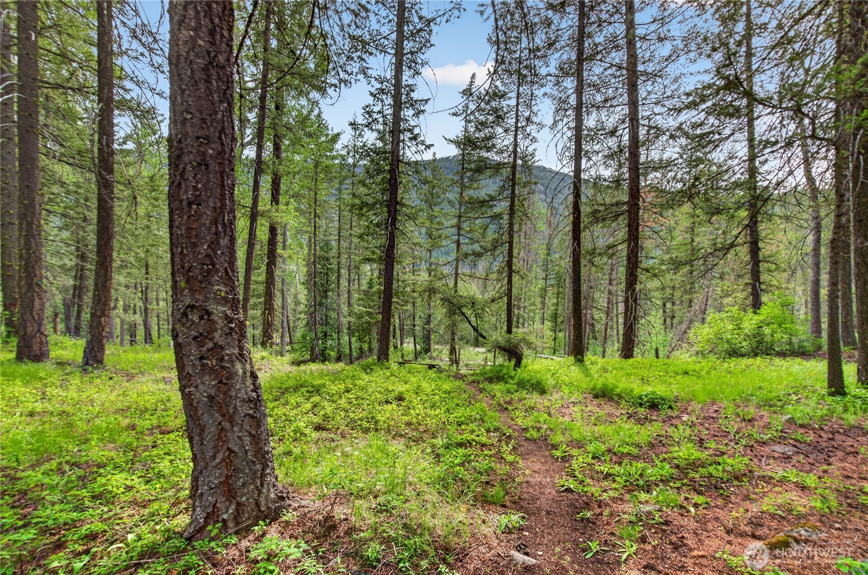 19 A and B Two Rivers Road , Mazama, WA 98833