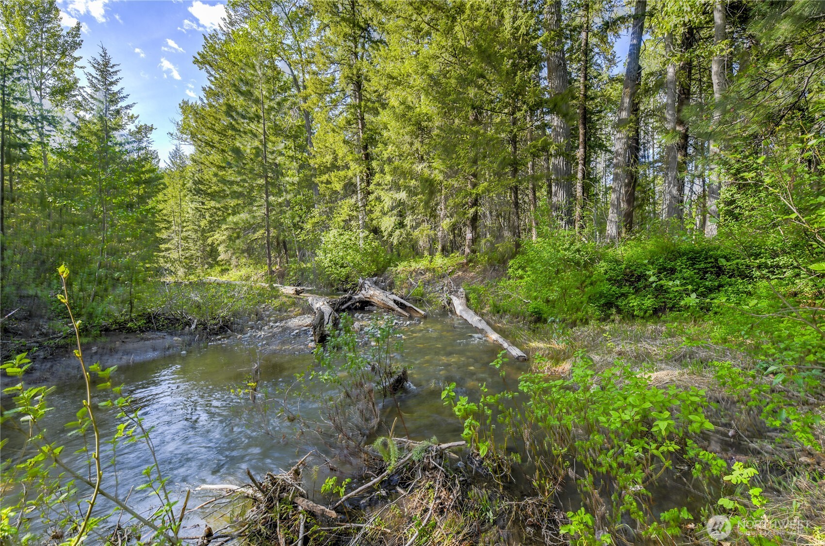 19 A and B Two Rivers Road , Mazama, WA 98833