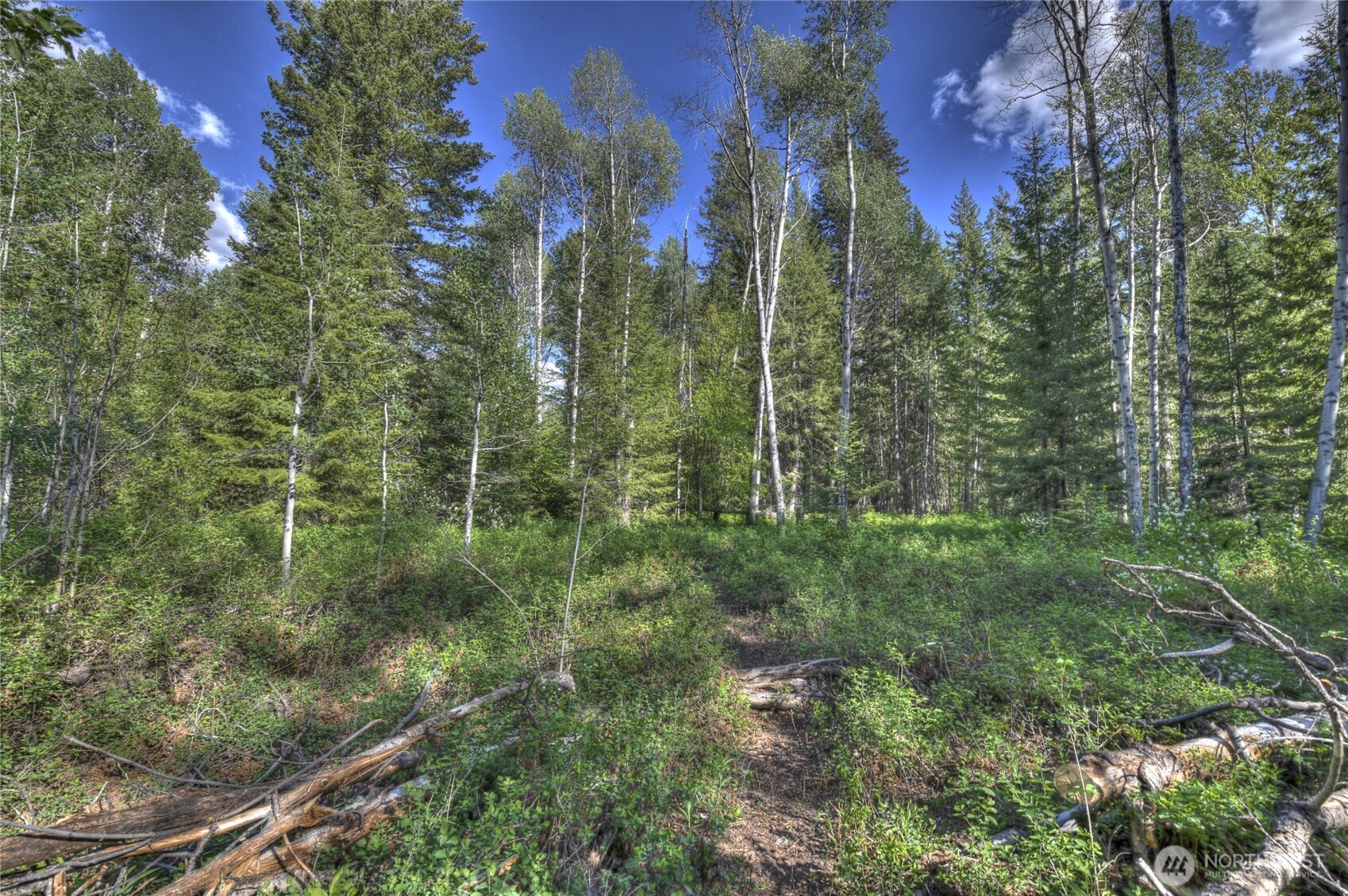 19 A and B Two Rivers Road , Mazama, WA 98833