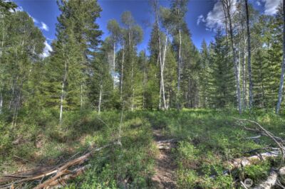 19 A and B Two Rivers Road , Mazama, WA 98833 - Photo 37