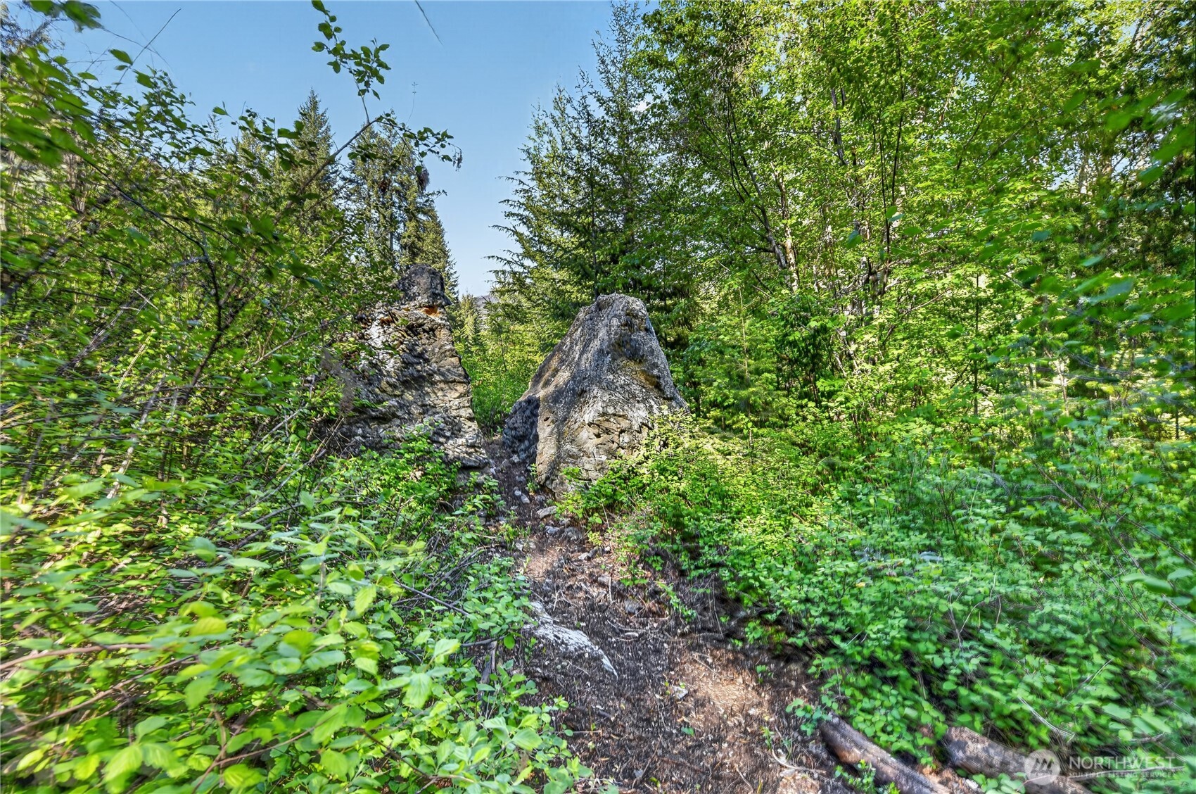 19 Two Rivers Road , Mazama, WA 98833