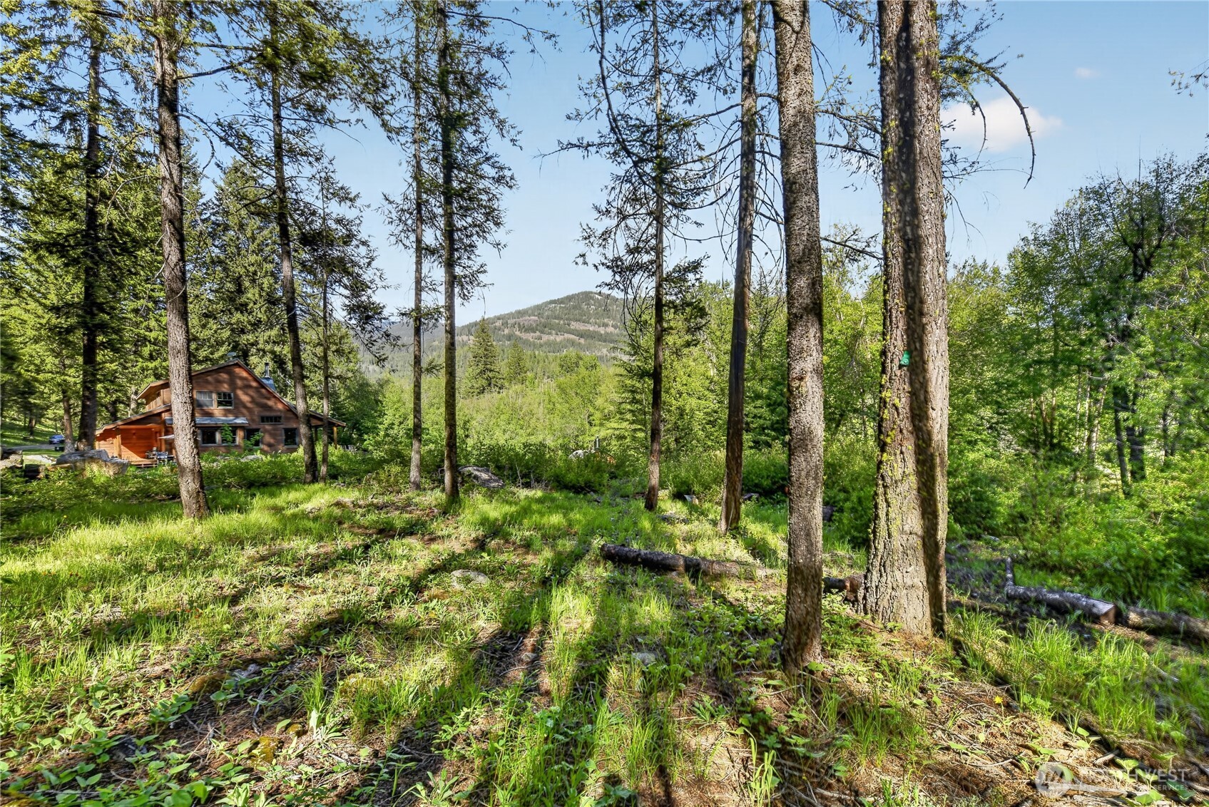 19 Two Rivers Road , Mazama, WA 98833