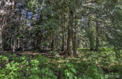19 Two Rivers Road , Mazama, WA 98833 - Photo 36