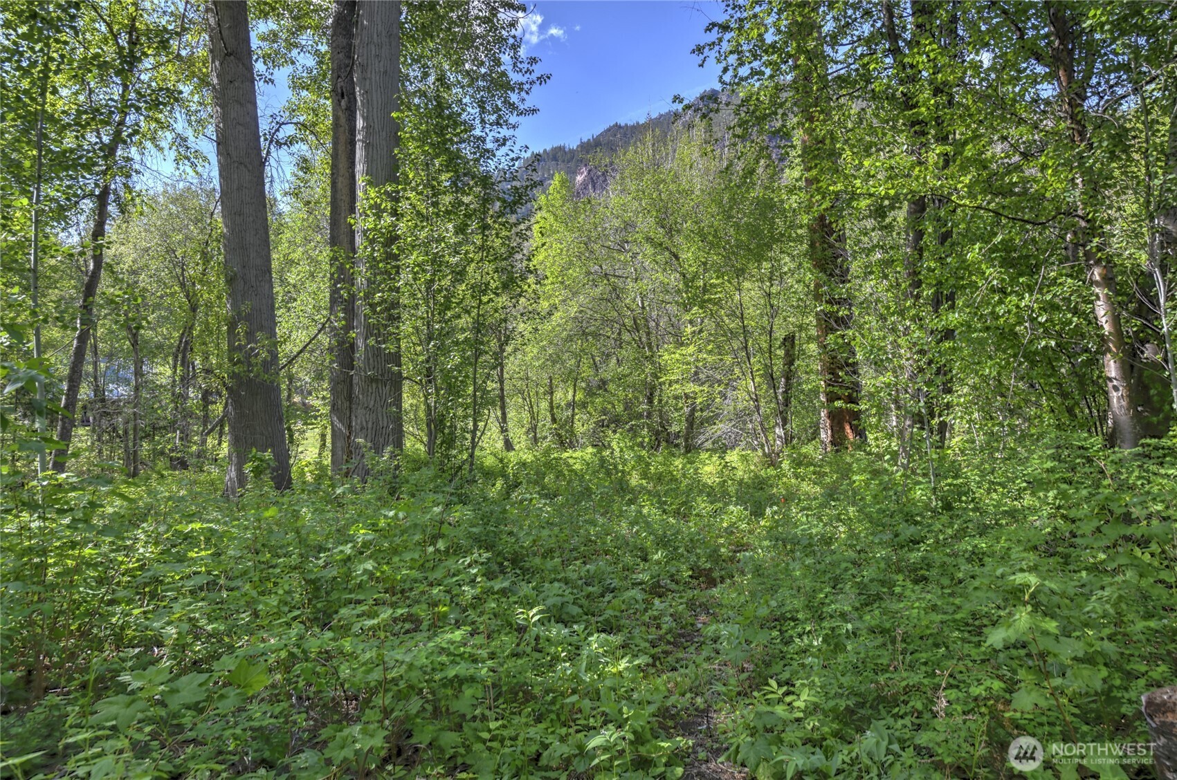 19 Two Rivers Road , Mazama, WA 98833