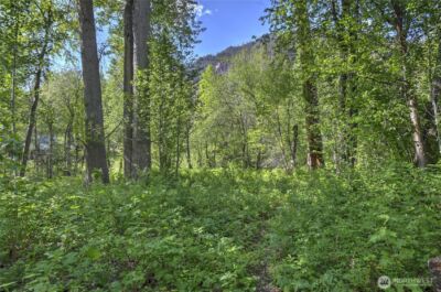 19 Two Rivers Road , Mazama, WA 98833 - Photo 40