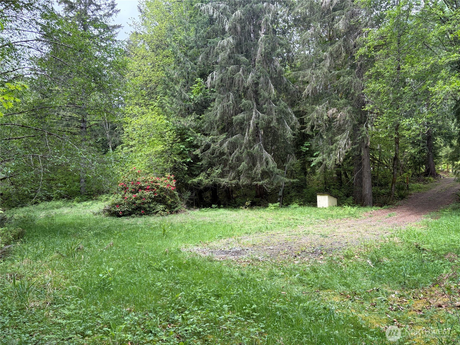 3263 Duckabush Road , Brinnon, WA 98320