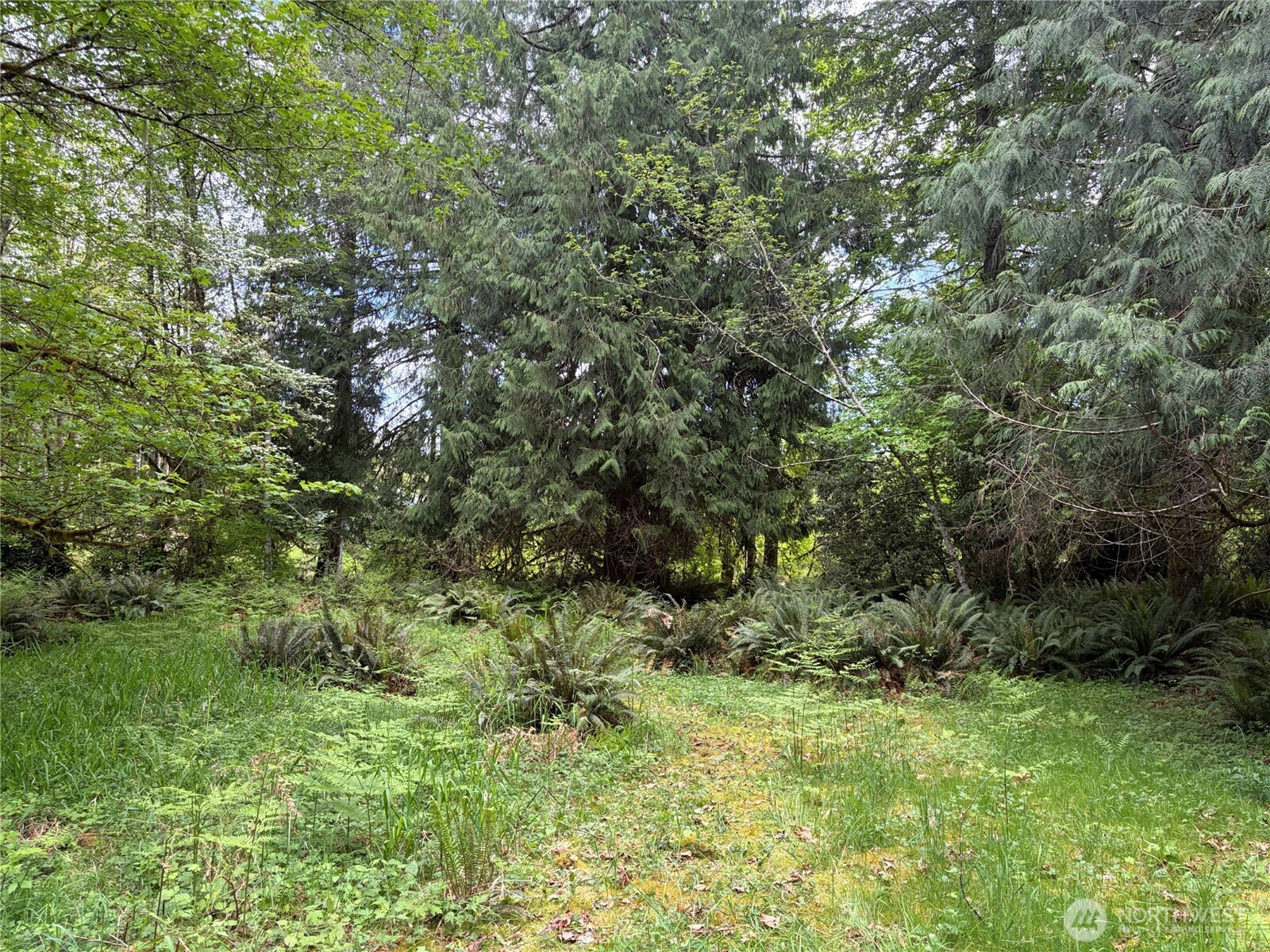 3263 Duckabush Road , Brinnon, WA 98320
