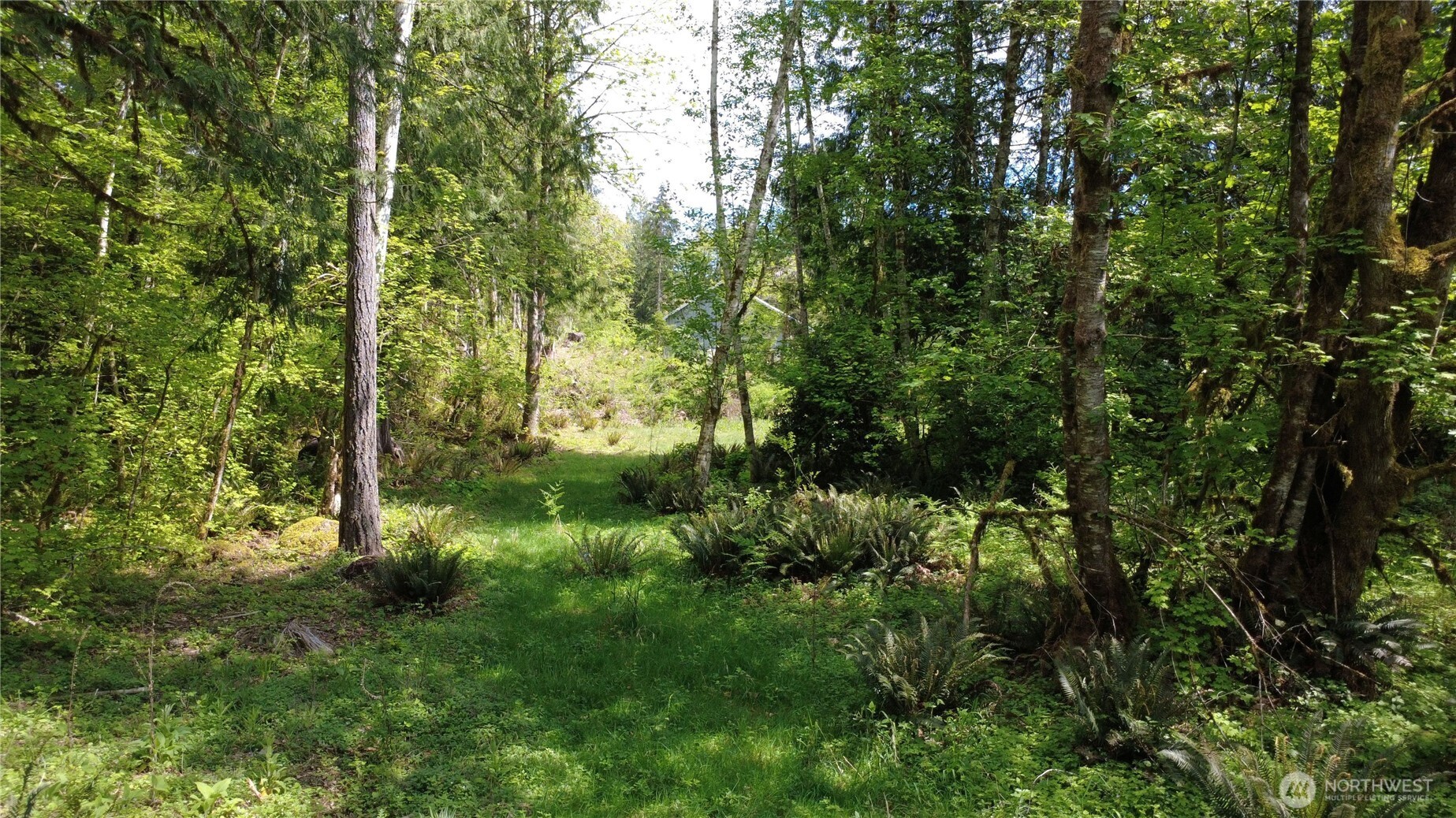 3263 Duckabush Road , Brinnon, WA 98320