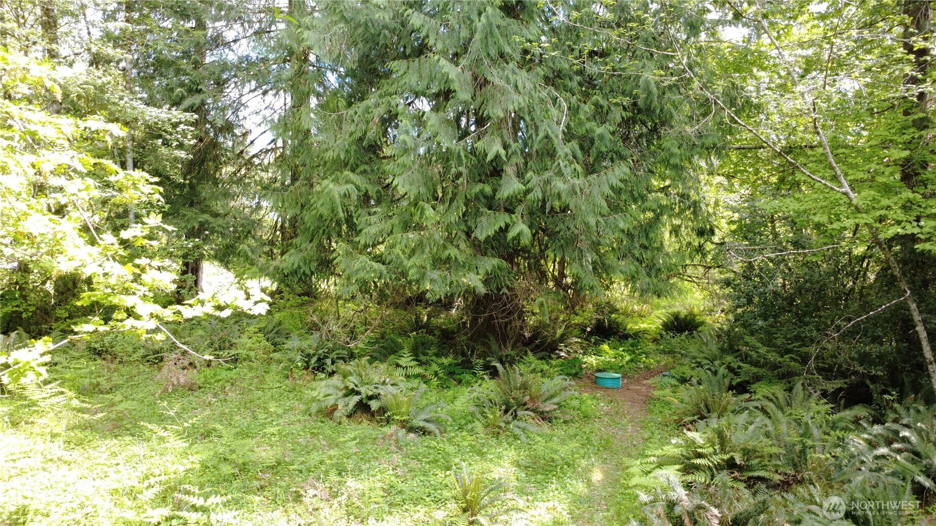 3263 Duckabush Road , Brinnon, WA 98320