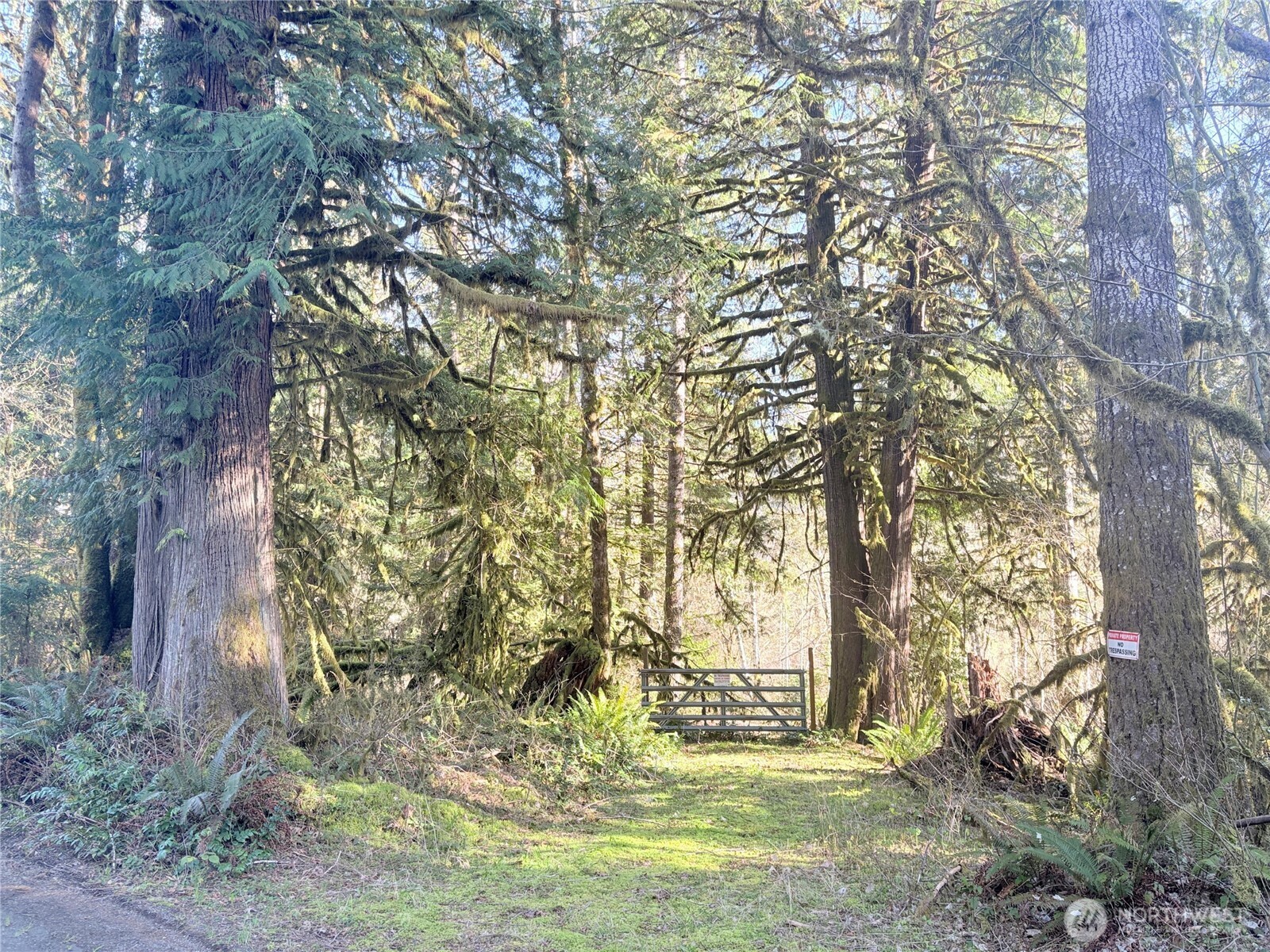 3263 Duckabush Road , Brinnon, WA 98320