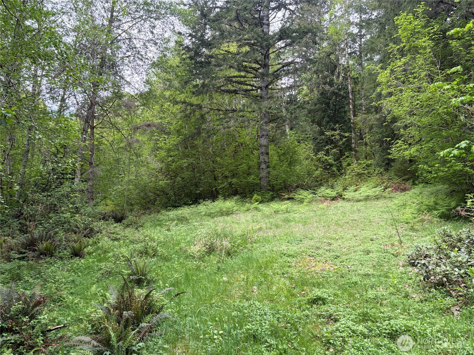 3263 Duckabush Road , Brinnon, WA 98320