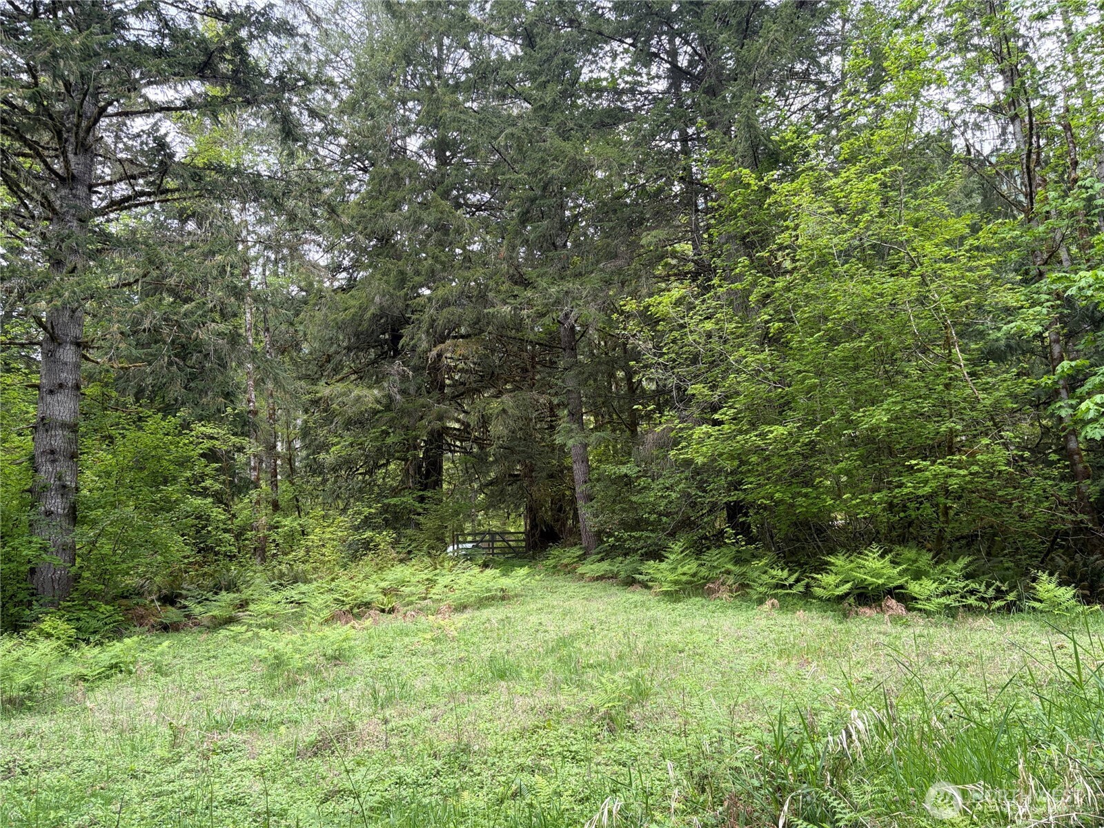 3263 Duckabush Road , Brinnon, WA 98320