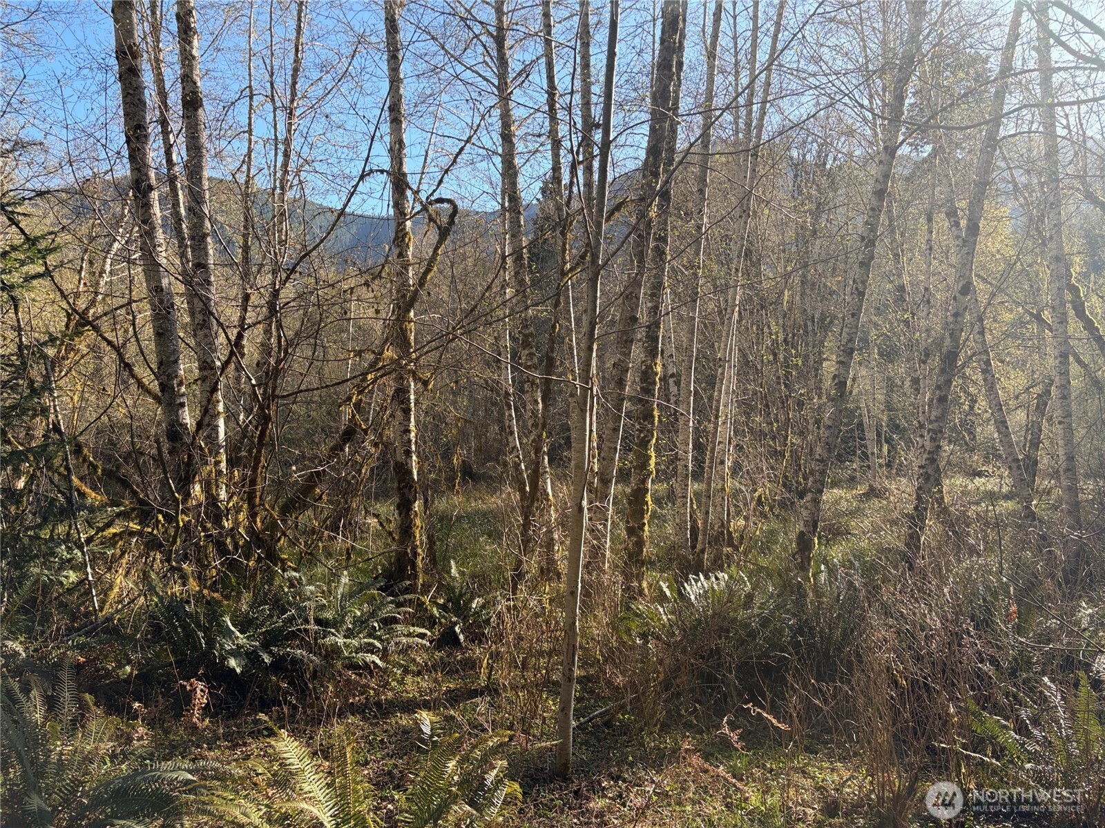 3263 Duckabush Road , Brinnon, WA 98320