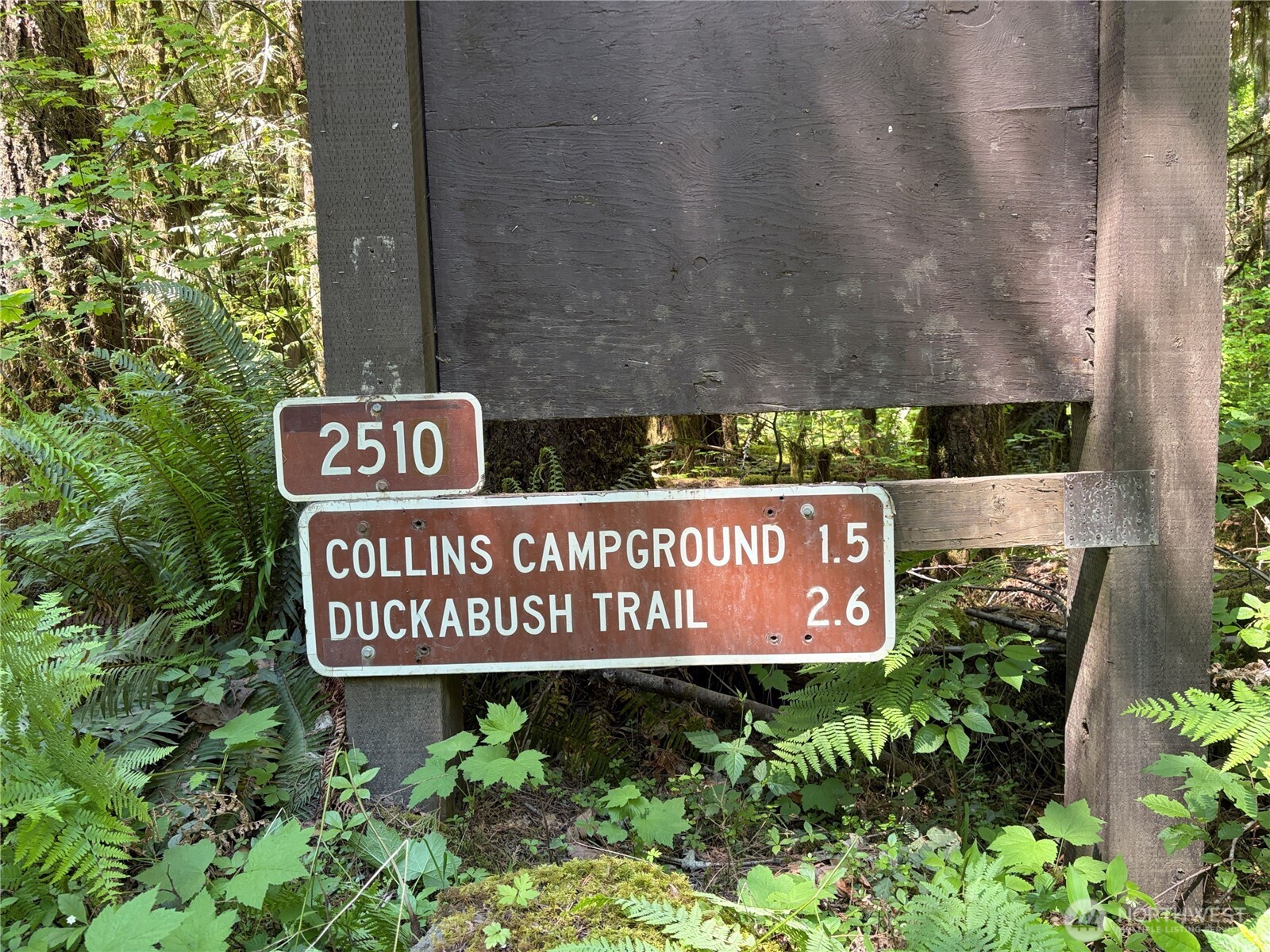 3263 Duckabush Road , Brinnon, WA 98320