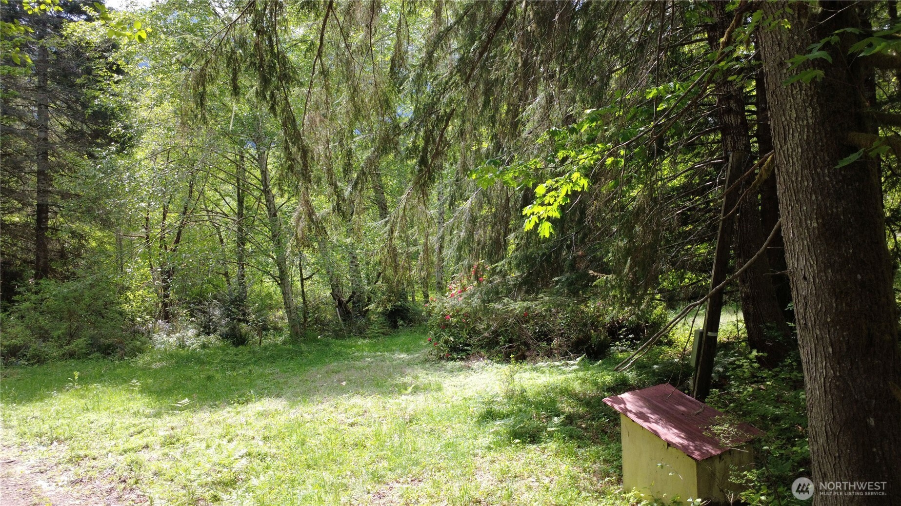 3263 Duckabush Road , Brinnon, WA 98320