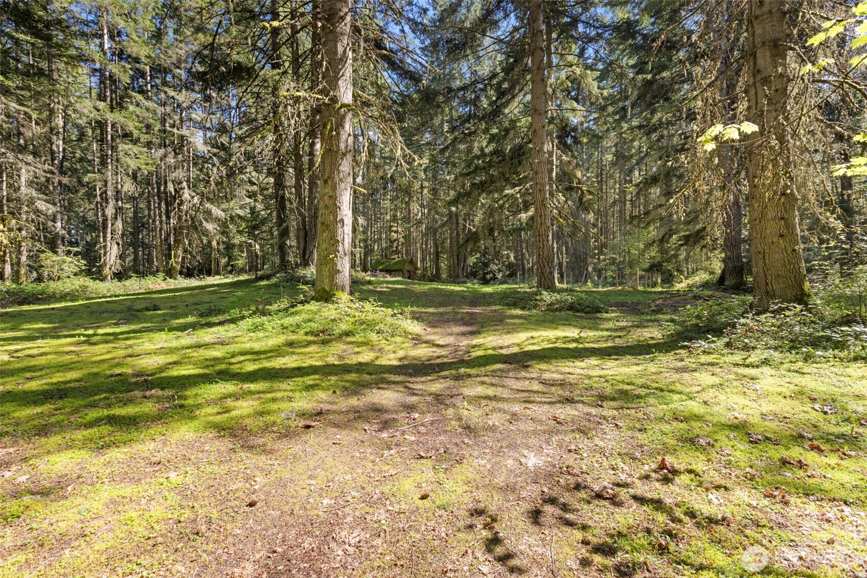 516 Gellor Road , Port Angeles, WA 98362