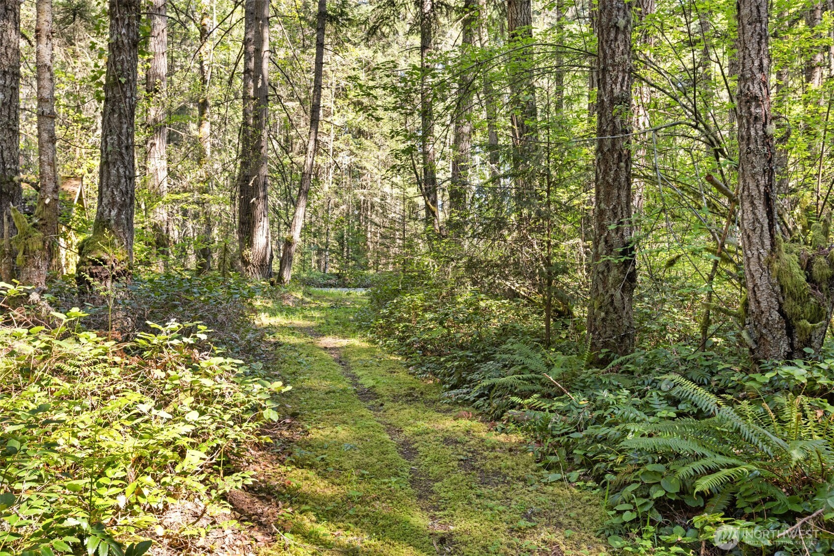 516 Gellor Road , Port Angeles, WA 98362