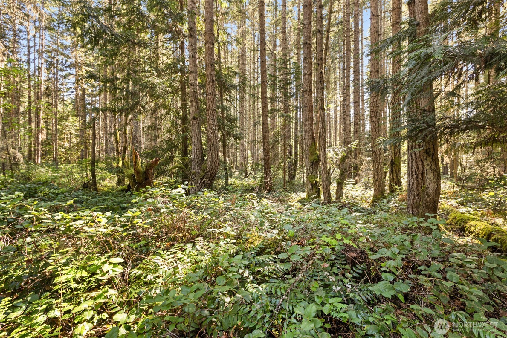 516 Gellor Road , Port Angeles, WA 98362