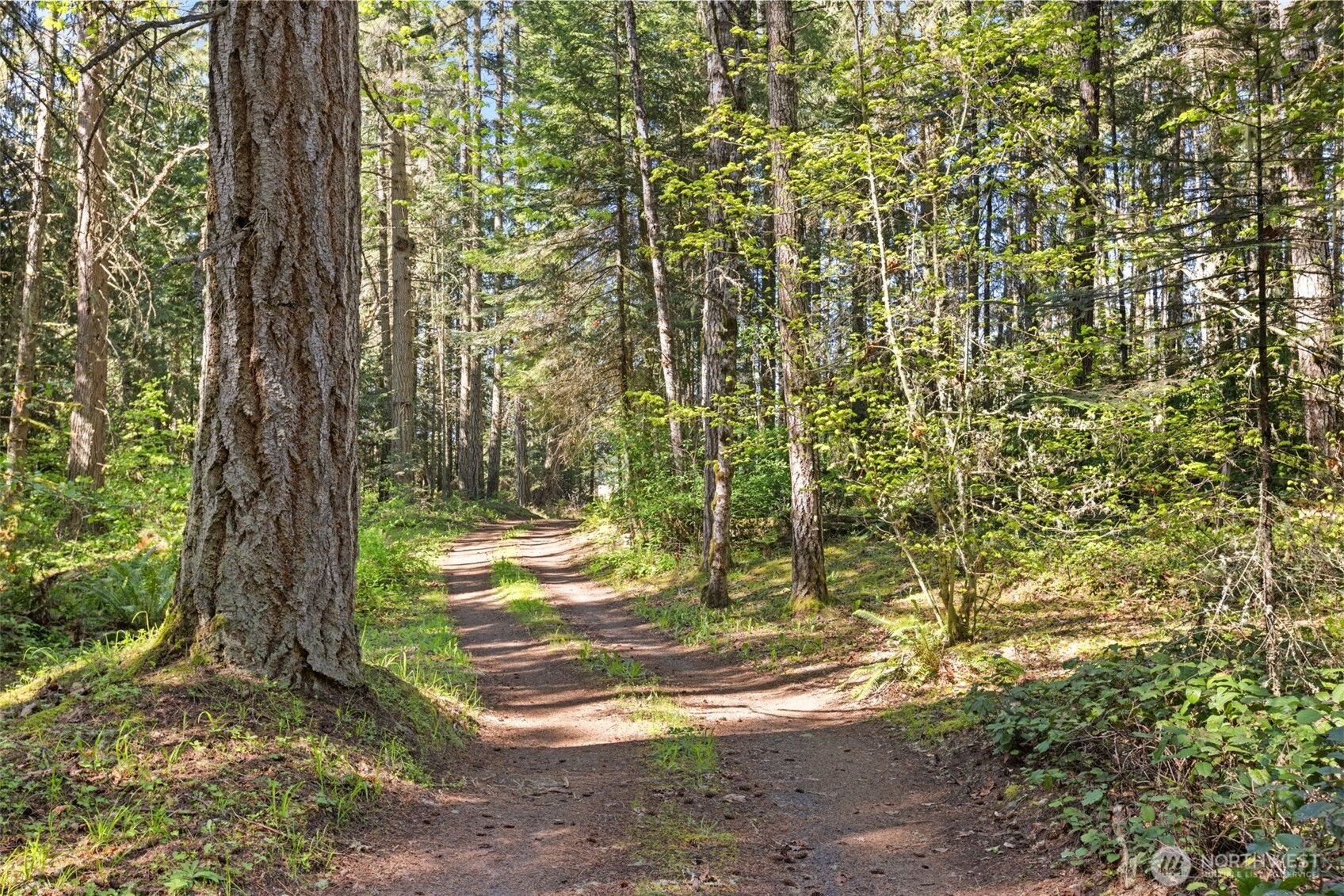 516 Gellor Road , Port Angeles, WA 98362