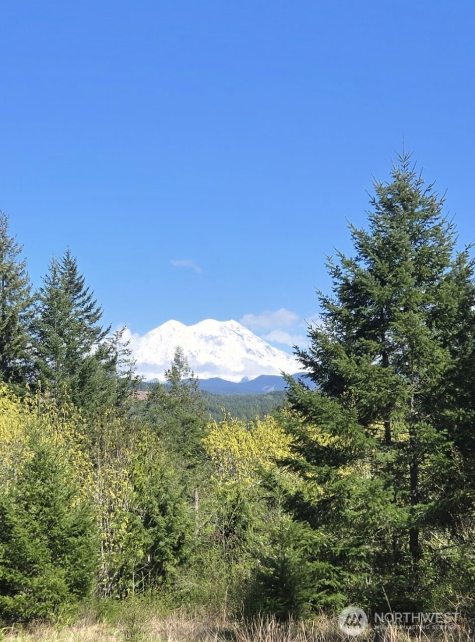 15521 Scott Turner Road E, Eatonville, WA 98328