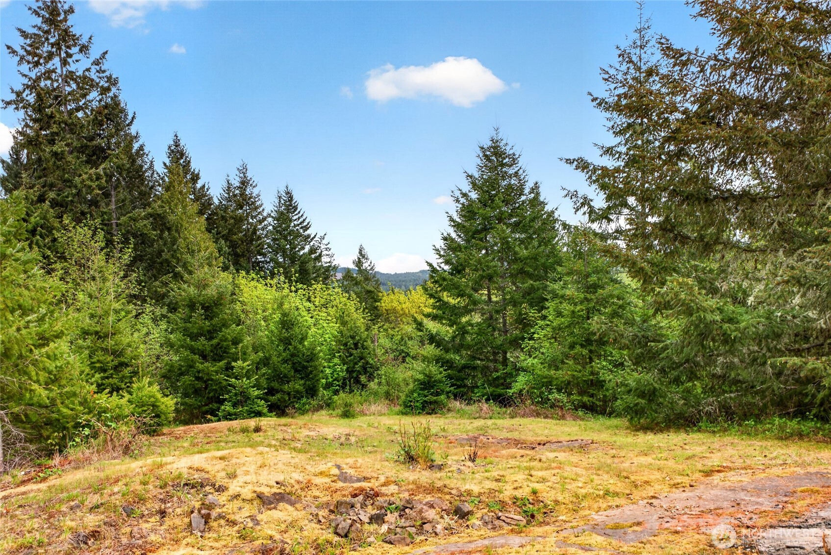 15521 Scott Turner Road E, Eatonville, WA 98328