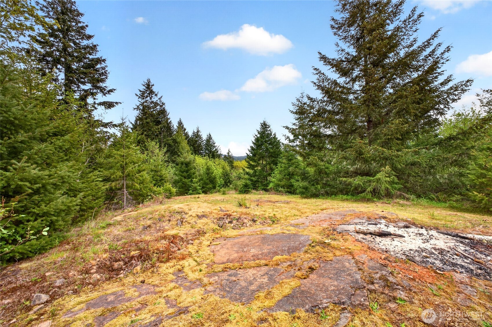 15521 Scott Turner Road E, Eatonville, WA 98328