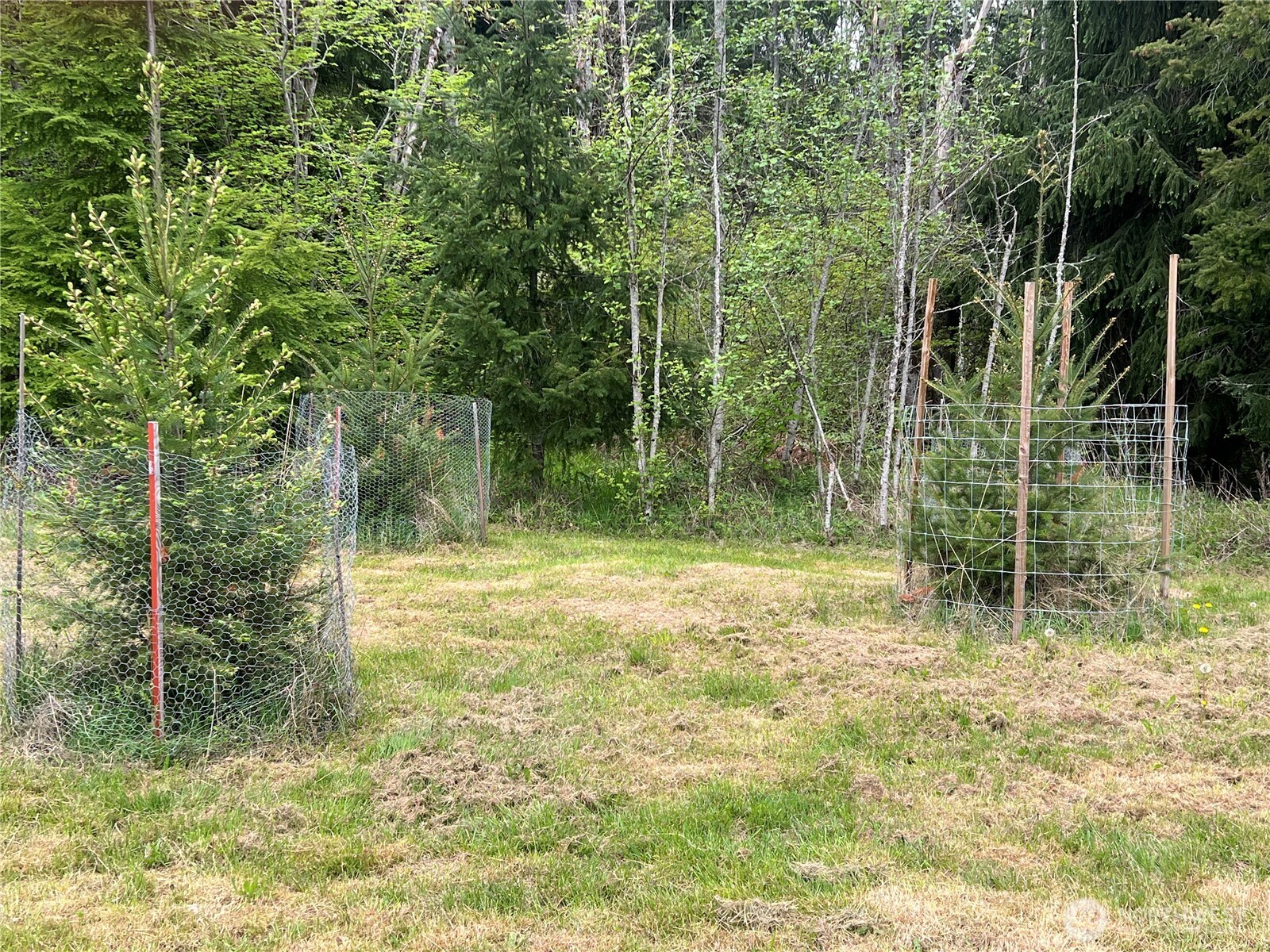 15521 Scott Turner Road E, Eatonville, WA 98328
