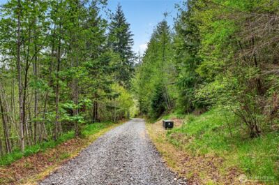 15521 Scott Turner Road E, Eatonville, WA 98328 - Photo 5