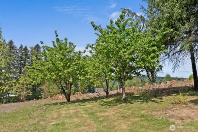 2054 Little Hanaford Road , Centralia, WA 98531 - Photo 38