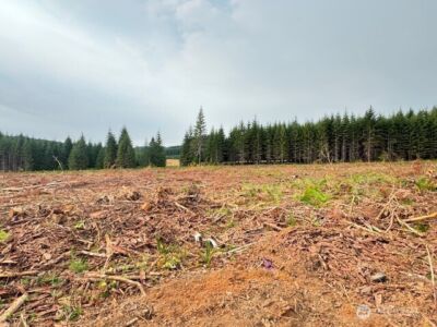 119 Woodberry Lane , Winlock, WA 98596 - Photo 1