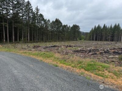 119 Woodberry Lane , Winlock, WA 98596 - Photo 12