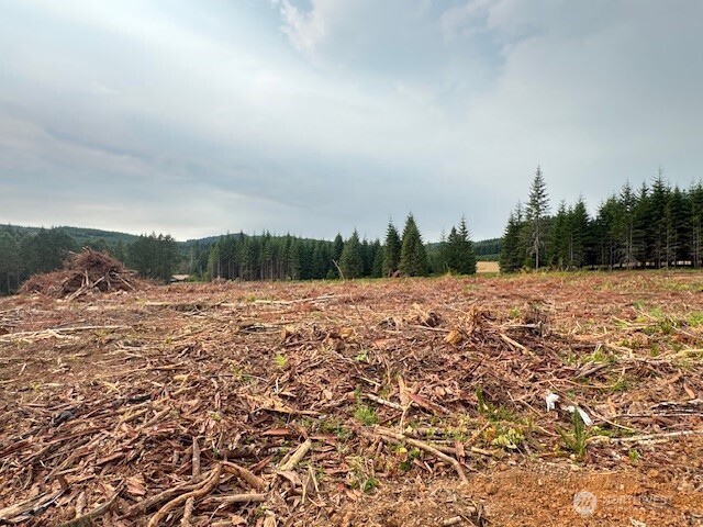 119 Woodberry Lane , Winlock, WA 98596
