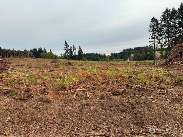 119 Woodberry Lane , Winlock, WA 98596