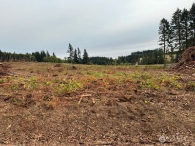 119 Woodberry Lane , Winlock, WA 98596 - Photo 15