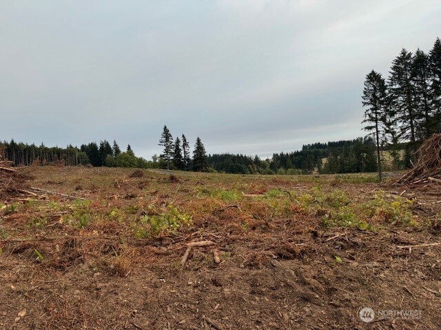 119 Woodberry Lane , Winlock, WA 98596