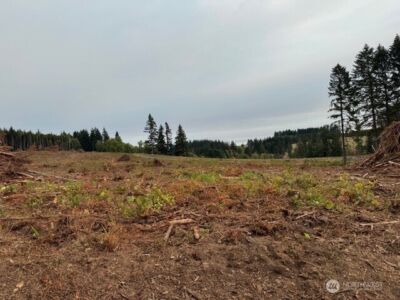 119 Woodberry Lane , Winlock, WA 98596 - Photo 16
