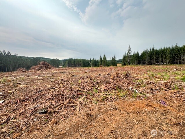 119 Woodberry Lane , Winlock, WA 98596
