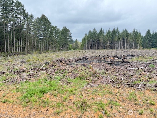 119 Woodberry Lane , Winlock, WA 98596