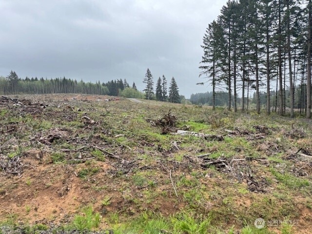 119 Woodberry Lane , Winlock, WA 98596