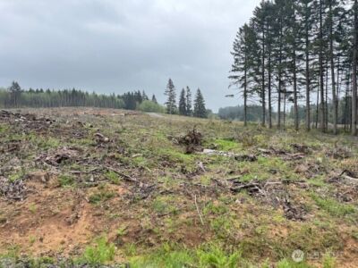 119 Woodberry Lane , Winlock, WA 98596 - Photo 8