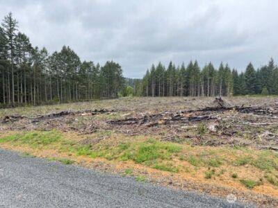 119 Woodberry Lane , Winlock, WA 98596 - Photo 9