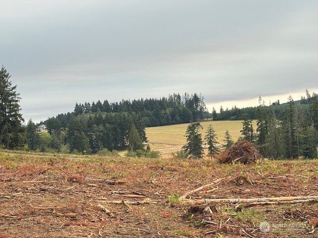 119 Woodberry Lane , Winlock, WA 98596