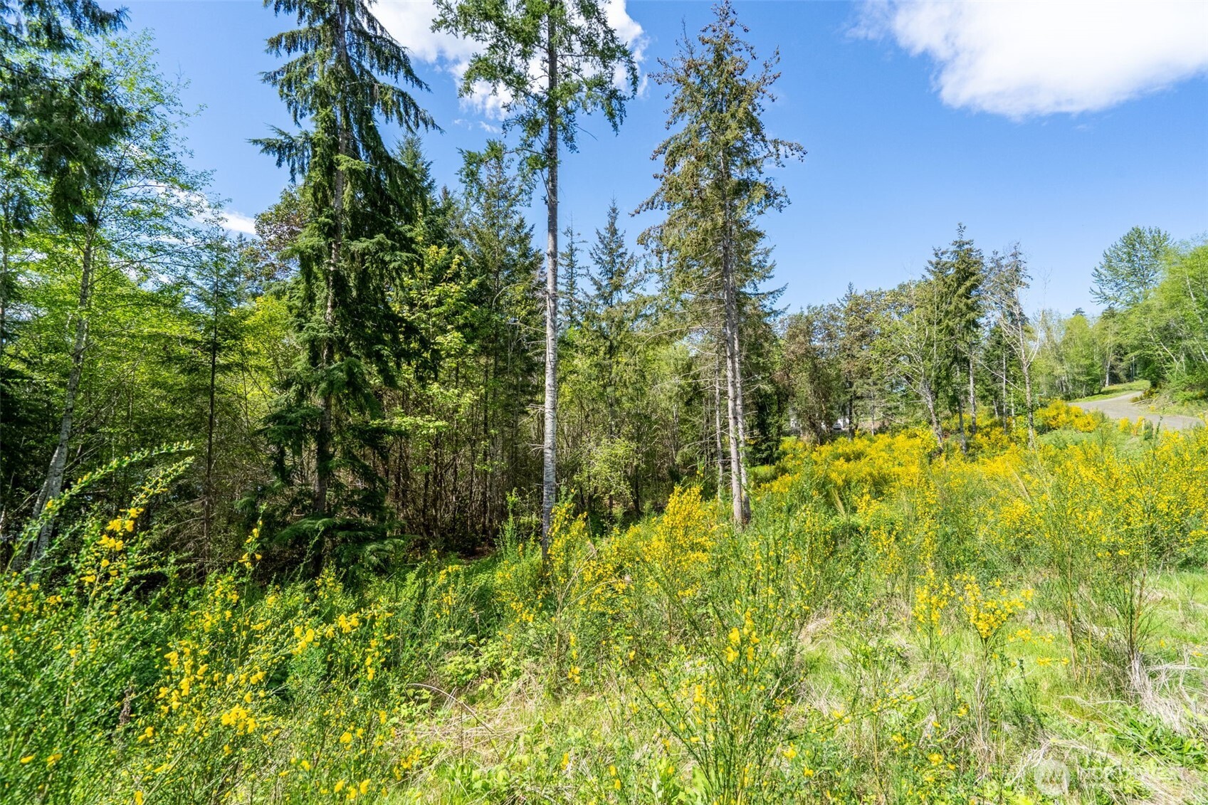 890 E Anchor View Lane , Shelton, WA 98584