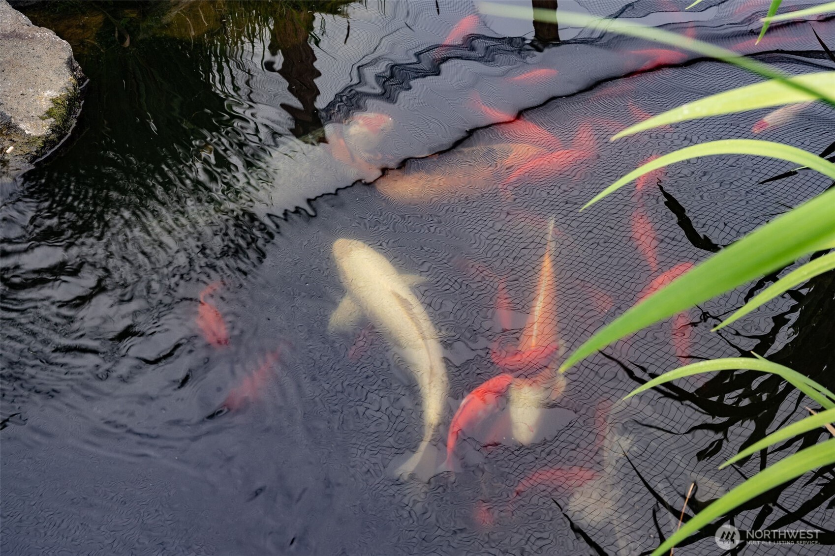 124 Pompano Road , Woodland, WA 98674