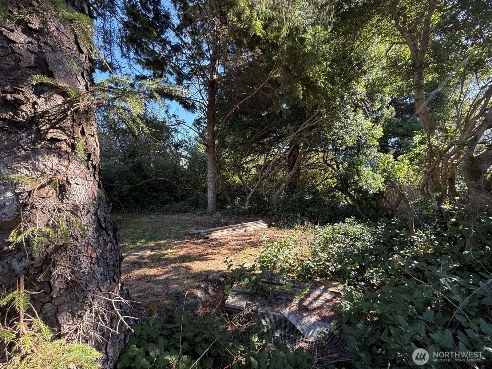 143 Aries Court SW, Ocean Shores, WA 98569