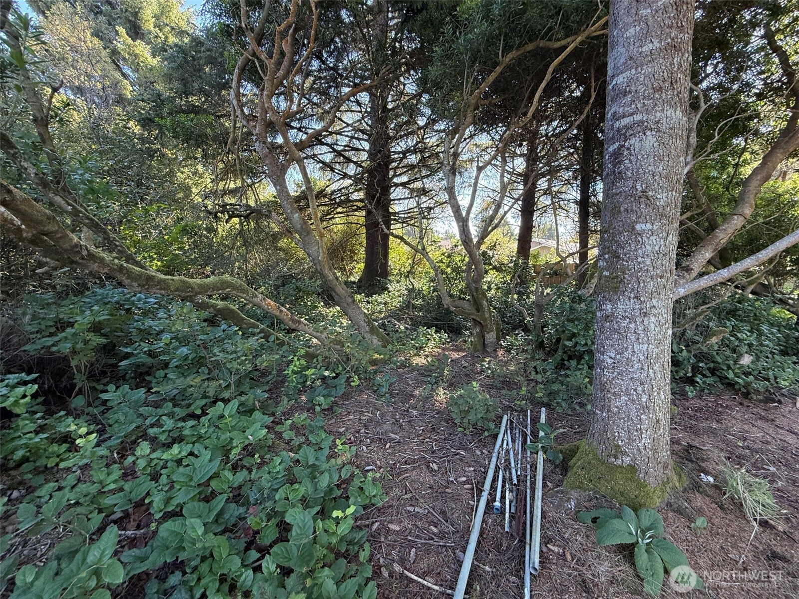 143 Aries Court SW, Ocean Shores, WA 98569