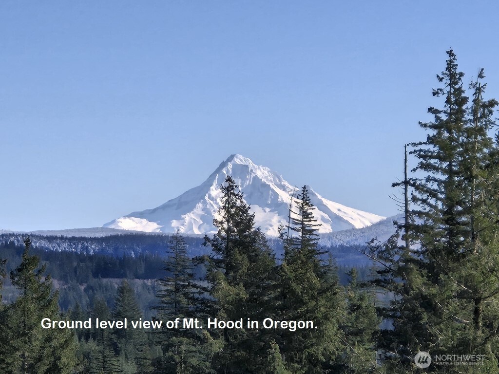 1051 SKAMANIA MINES Road , Washougal, WA 98671
