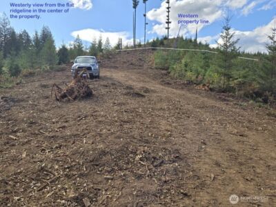 1051 SKAMANIA MINES Road , Washougal, WA 98671 - Photo 11