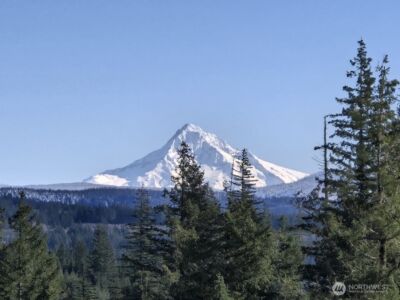 1051 SKAMANIA MINES Road , Washougal, WA 98671 - Photo 14